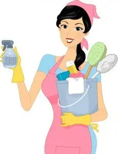 Professional House Cleaning Services
