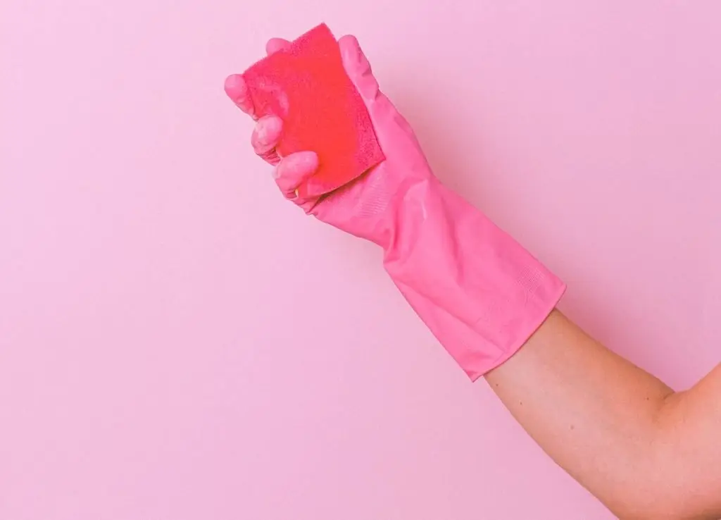 professional cleaner