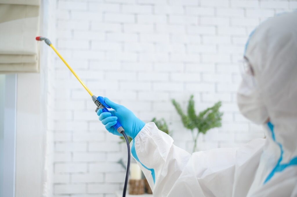 home sanitization