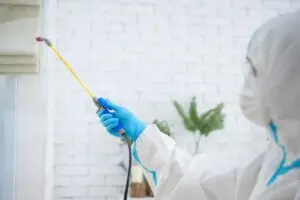 home sanitization