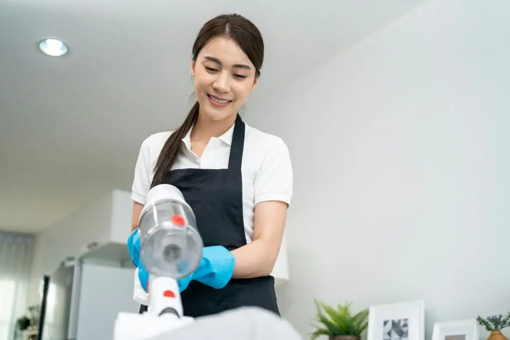 Professional Cleaning Services