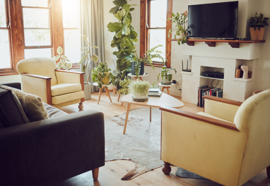 Interior design furniture or a stylish new home with couches tv and table on a sunny day Idea of house decor or decoration of a living room or lounge modern style and setup | House Cleaning Rapid City South Dakota