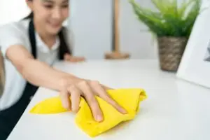 maid cleaning