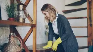interior home cleaning