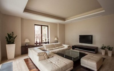 Complete living room cleaning